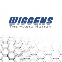 Поступление товаров от Wiggens