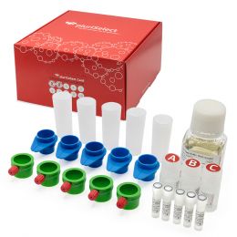 Наборы и реактивы для молекулярной биологии Наборы и реактивы для молекулярной биологии