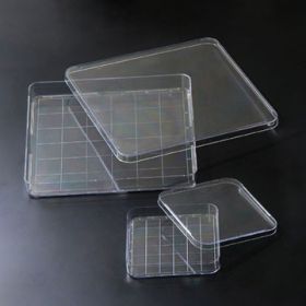 Чашки Петри квадратные 125×125×20 мм