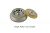 Угловой ротор 12х1,5 мл для центрифуг HT165R, H1850, H1750R, CHT210, CHT210R,  CH210R, Cence