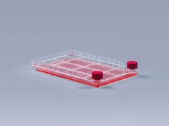 Флакон-фабрика 1 слойный, винт. крышка Флакон-фабрика 1 слойный, винт. крышка