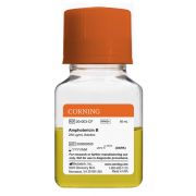 Амфотерицин B (Amphotericin B) Амфотерицин B (Amphotericin B)
