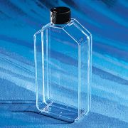 Флакон культуральный 162 см², невент. крышка Флакон культуральный 162 см², невент. крышка