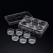 Вставные вкладыши для 6-лун. планшета, с мембраной из ПЭТ, 0,4 мкм Вставные вкладыши для 6-лун. планшета, с мембраной из ПЭТ, 0,4 мкм