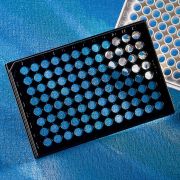 Планшет 96-луночный для ИФА, высокая адгезия, плоское дно, чёрный/прозрачный Планшет 96-луночный для ИФА, высокая адгезия, плоское дно, чёрный/прозрачный