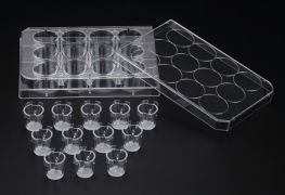 Подвесные вкладыши для 12-лун. планшета, с мембраной из ПЭТ, оптически прозрачные Подвесные вкладыши для 12-лун. планшета, с мембраной из ПЭТ, оптически прозрачные