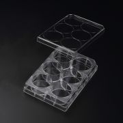 Планшет для 3D-культивирования 6-луночный Планшет для 3D-культивирования 6-луночный