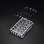 Планшет для 3D-культивирования, 24-луночный, Cell Floater, стерильный, SPL Планшет для 3D-культивирования, 24-луночный, Cell Floater, стерильный, SPL