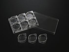 Планшет-модуль 6-луночный, стерильный, SPL