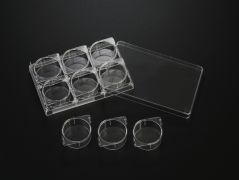 Планшет-модуль 6-луночный, стерильный, SPL