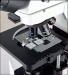 Микроскоп биологический с флуоресценцией прямой CX-40FL, Sunny instruments
