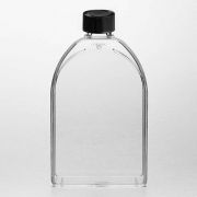 Флакон культуральный 150 см², невент. крышка Флакон культуральный 150 см², невент. крышка