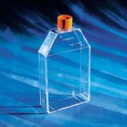 Флакон культуральный 150 см², вент. крышка Флакон культуральный 150 см², вент. крышка