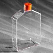 Флакон культуральный 225 см², вент. крышка Флакон культуральный 225 см², вент. крышка