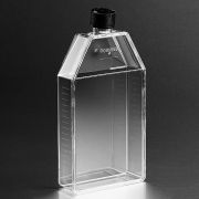 Флакон культуральный 175 см², невент. крышка Флакон культуральный 175 см², невент. крышка