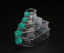 Флакон культуральный 12,5 см², вент. крышка Флакон культуральный 12,5 см², вент. крышка