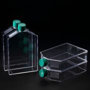 Флакон культуральный, 225 см², с вентилируемой крышкой, обработанная поверхность. стерильный, SPL Флакон культуральный, 225 см², с вентилируемой крышкой, обработанная поверхность. стерильный, SPL