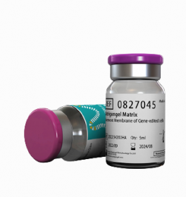 Матригенгель стандартный, 5 мл, ABW Матригенгель стандартный, 5 мл, ABW