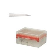 Наконечники, 300 мкл, нестерильные, оранжевые, Thermo Fisher Scientific Наконечники, 300 мкл, нестерильные, оранжевые, Thermo Fisher Scientific