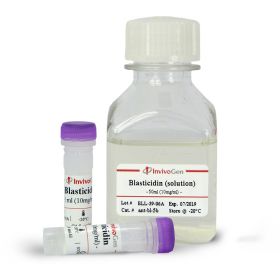 Бластицидин (Blasticidin), 100 мг