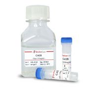 Генетицин G418 (Geneticin), 1 г Генетицин G418 (Geneticin), 1 г