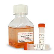 Гигромицин В Gold (Hygromycin B), 1 г Гигромицин В Gold (Hygromycin B), 1 г