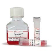 Нормоцин (Normocin), 500 мг Нормоцин (Normocin), 500 мг