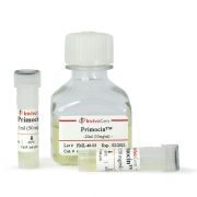 Примоцин (Primocin), 250 мг Примоцин (Primocin), 250 мг