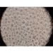 Микроноситель клеток сферический, обработанная поверхность, на основе агарозных шариков, 50 г