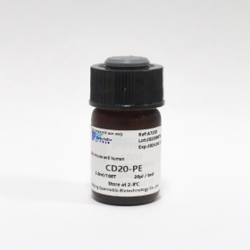 PE-антитела к CD20 человека, 100 тестов, VDO Biotech (QuantoBio)