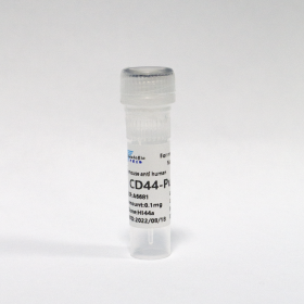 Антитела очищенные против CD44 человека, 0,1 мг, VDO Biotech (QuantoBio)