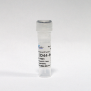 Антитела очищенные против CD44 человека, 0,1 мг, VDO Biotech (QuantoBio) Антитела очищенные против CD44 человека, 0,1 мг, VDO Biotech (QuantoBio)
