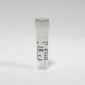 Антитела очищенные против CD9 человека, 0,1 мг, VDO Biotech (QuantoBio)