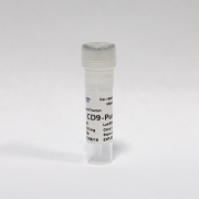 Антитела очищенные против CD9 человека, 0,1 мг, VDO Biotech (QuantoBio) Антитела очищенные против CD9 человека, 0,1 мг, VDO Biotech (QuantoBio)