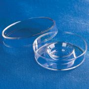 Чашки Петри 60 мм, с центральной лункой Чашки Петри 60 мм, с центральной лункой