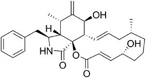 Цитохалазин В Цитохалазин В