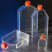 Флакон культуральный 150 см² - ЛИКВИДАЦИЯ Флакон культуральный 150 см² - ЛИКВИДАЦИЯ