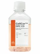 CellCor™ DPC CD химически определенная бессывороточная среда для мезенхимальных клеток в основании волосяного фолликула, 500 мл, XCELL CellCor™ DPC CD химически определенная бессывороточная среда для мезенхимальных клеток в основании волосяного фолликула, 500 мл, XCELL