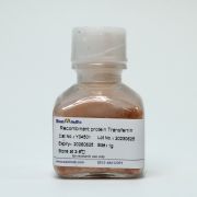 Трансферрин человеческий, 100 мг, EastMab Трансферрин человеческий, 100 мг, EastMab