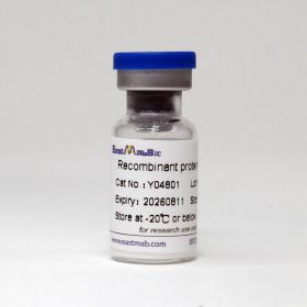 Витронектин, 1 мг, EastMab