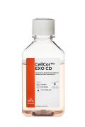 CellCor™ EXO CD химически определенная бессывороточная среда для мезенхимальных стволовых клеток человека, 500 мл, XCELL CellCor™ EXO CD химически определенная бессывороточная среда для мезенхимальных стволовых клеток человека, 500 мл, XCELL