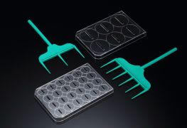 Скребок SPLScar™ для 24-луночных планшетов, 1 мм, стерильный, SPL Скребок SPLScar™ для 24-луночных планшетов, 1 мм, стерильный, SPL