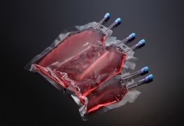 Пакеты для культивирования, 500 мл, 224×154 мм, стерильный, SPL Пакеты для культивирования, 500 мл, 224×154 мм, стерильный, SPL