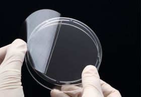 Наклейки на чашки Петри 60 мм, SPL