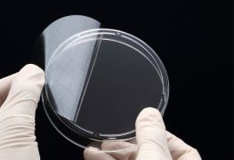 Наклейки на чашки Петри 60 мм, SPL