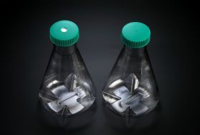 Колба Эрленмейера с отбойниками и вентилирующей крышкой, 1000 мл, ПК, SPL