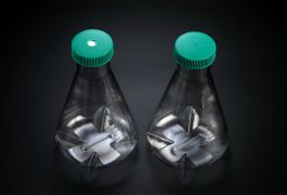 Колба Эрленмейера с отбойниками и вентилирующей крышкой, 1000 мл, ПК, SPL