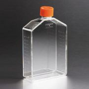 Флакон культуральный 175 см², вент. крышка Флакон культуральный 175 см², вент. крышка