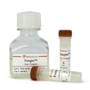 Фунгин (Fungin), 75 мг Фунгин (Fungin), 75 мг