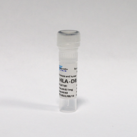 Антитела очищенные против HLA-DR человека, 0,1 мг, VDO Biotech (QuantoBio)